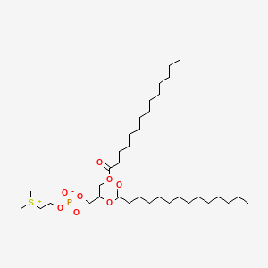 Dimyristoyl phosphatidylsulfocholine