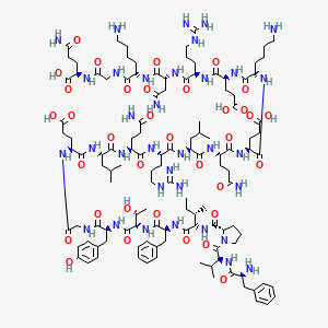 13-Leu-motilin