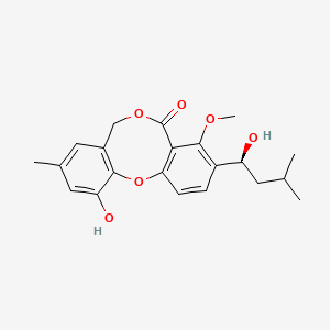 Penicillide