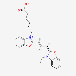 CY2