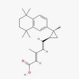 AGN194204