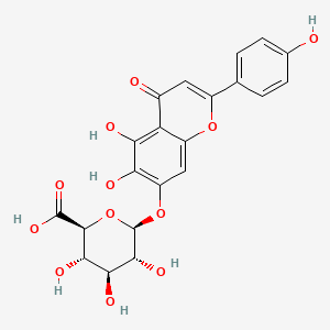 Scutellarin