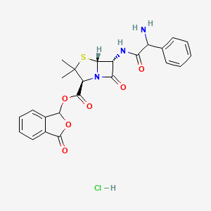 Talampicillin hydrochloride