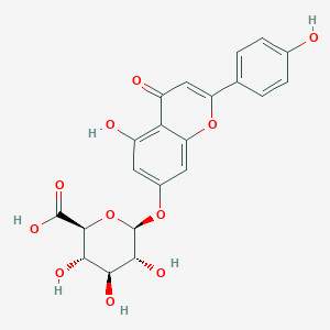 Apigenin 7-glucuronide