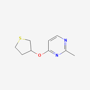 2-Methyl-4-(thiolan-3-yloxy)pyrimidine