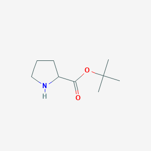 tert-Butyl L-prolinate